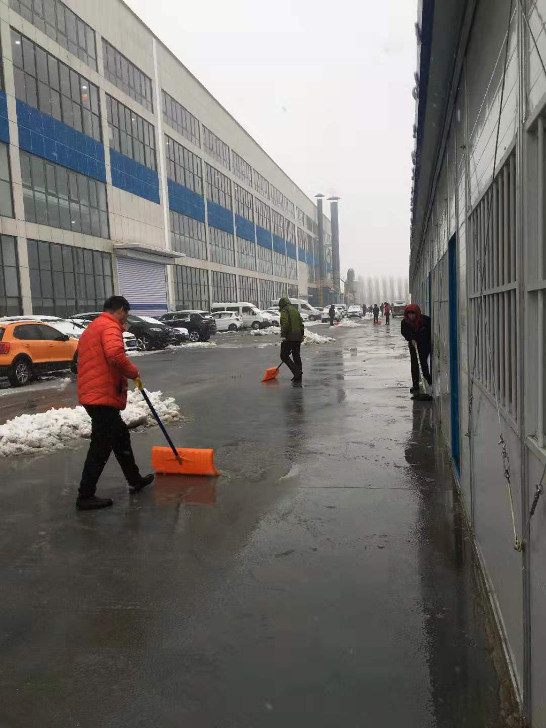 圖片 6 image6.jpeg